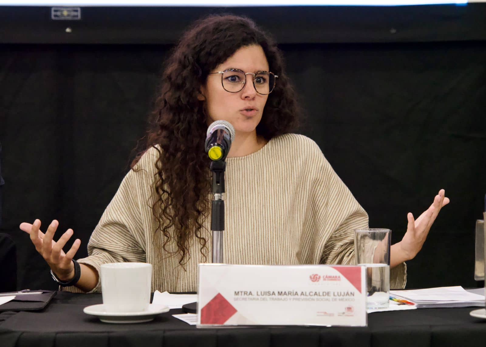 Luisa María Alcalde Luján