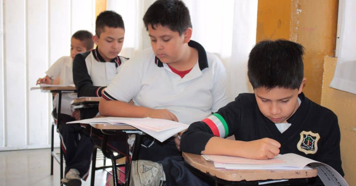 Descargar Certificado de primaria SEP PDF 