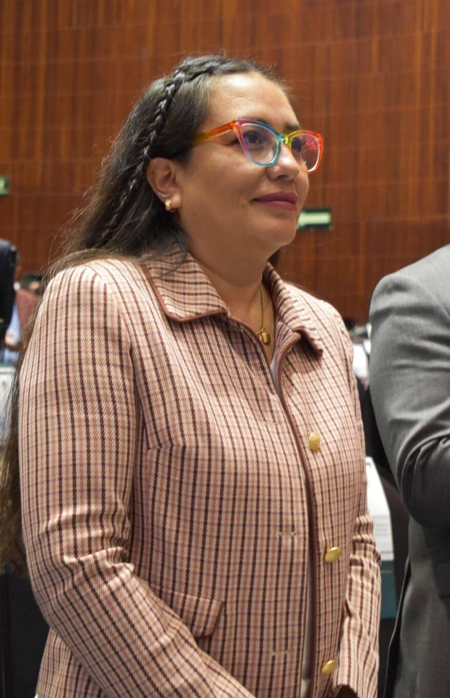 Diputada Elizabeth Pérez