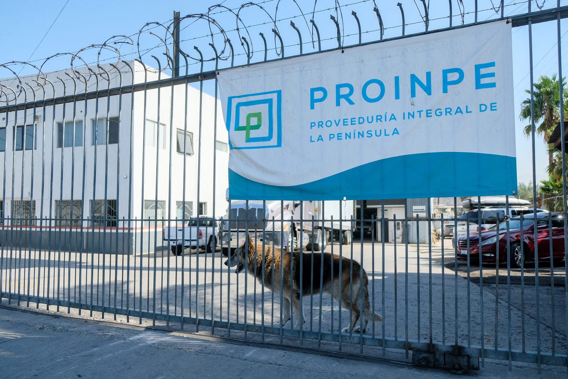 Proinpe es el único proveedor con una lona al frente de su negocio. Crédito: Isaac Rosas León.