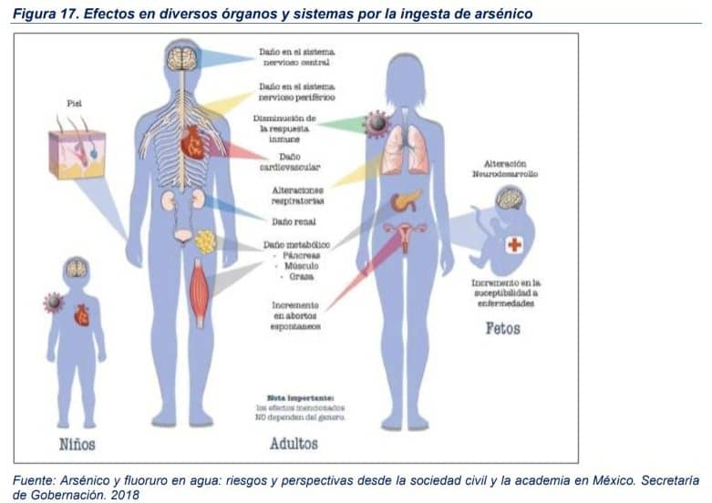 El Análisis Costo Eficiencia del Proyecto "Agua Saludable para La Laguna" contiene el extracto de análisis científicos sobre los daños a la salud que genera el arsénico. Crédito: Captura de informe.