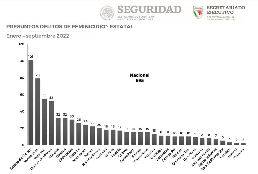 feminicidios mexico ariadna fernanda 1