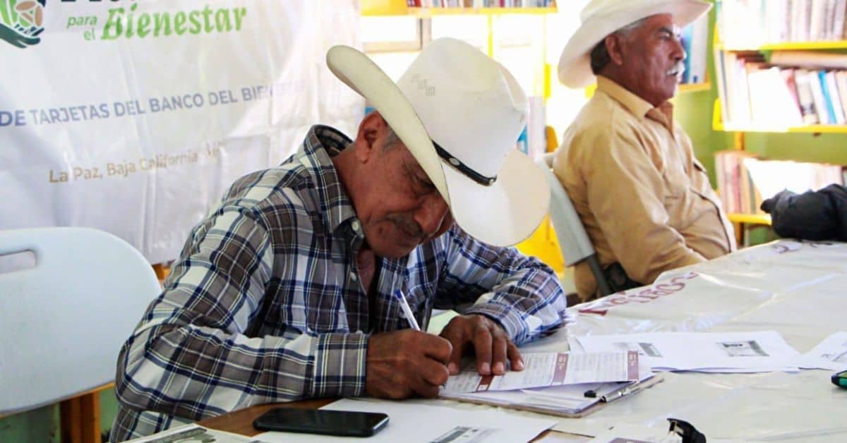 modulos-cambio-de-tarjetas-bienestar modulos-cambio-de-tarjetas-bienestar
