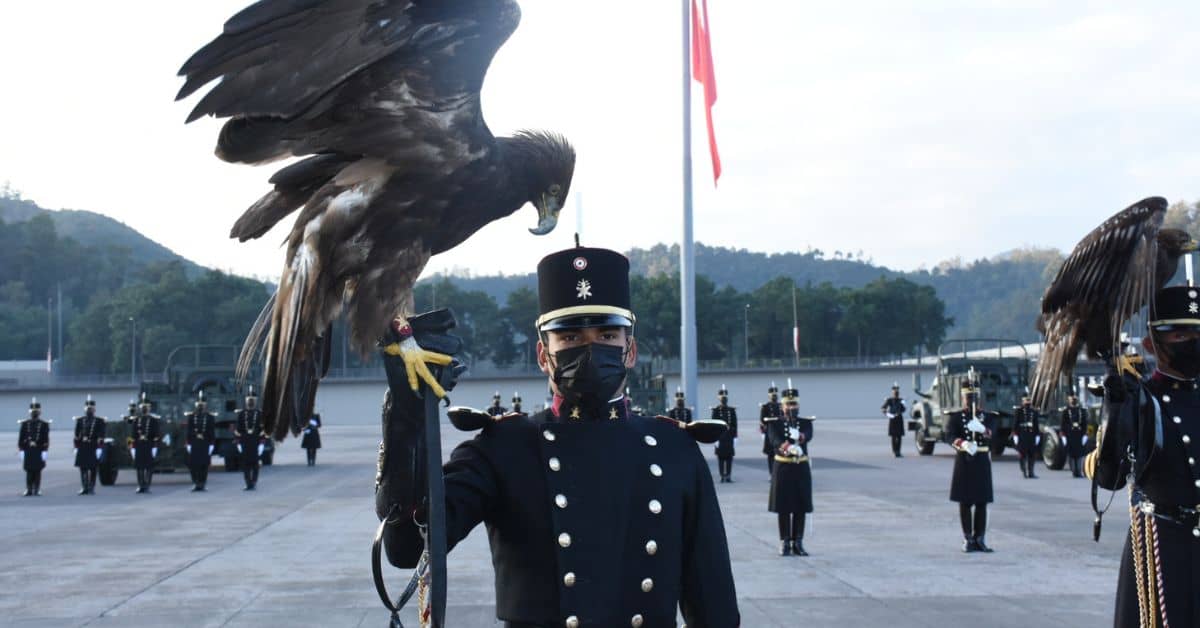 cómo entrar al ejército mexicano 2023