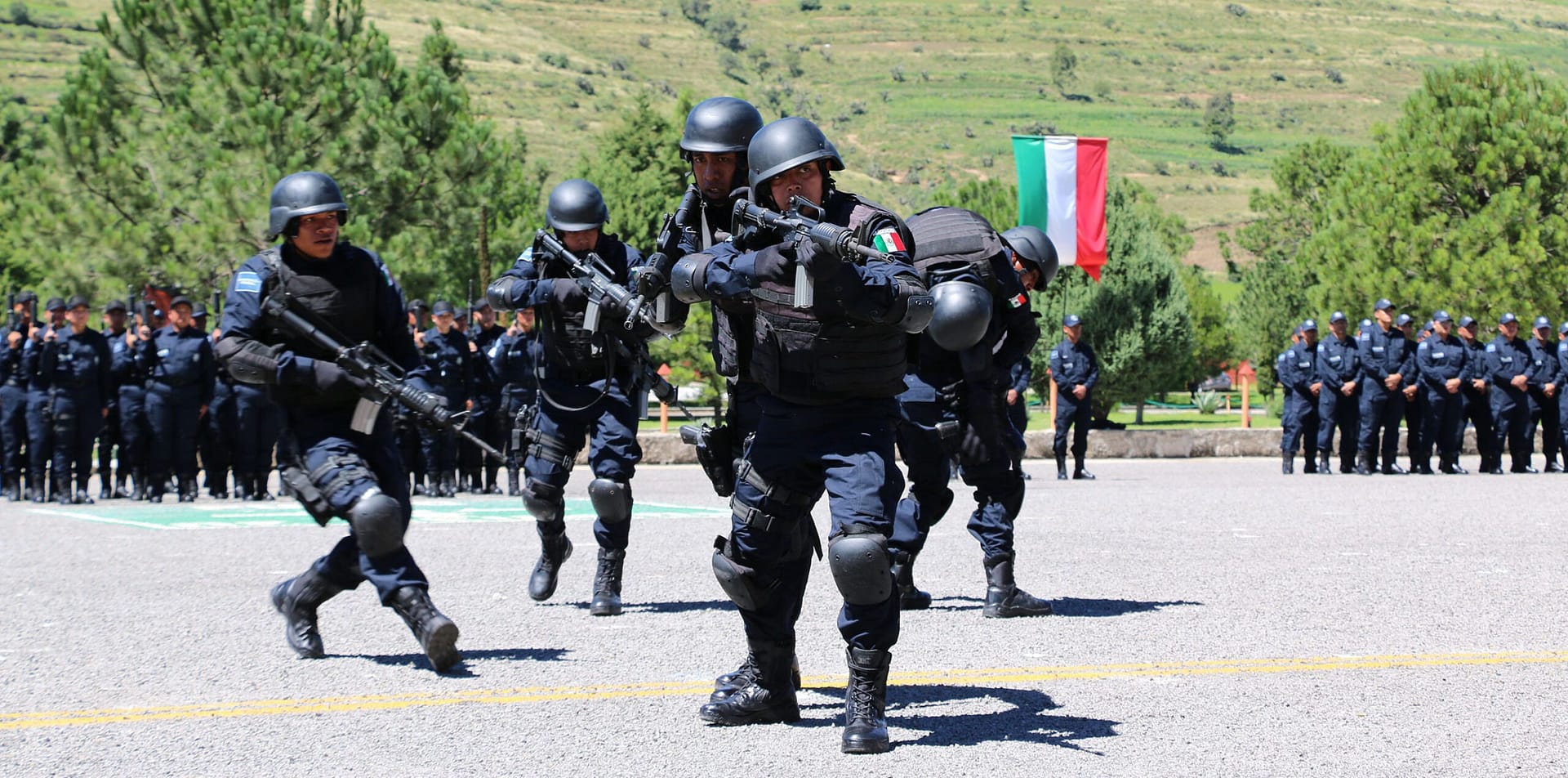 servicio de Protección federal