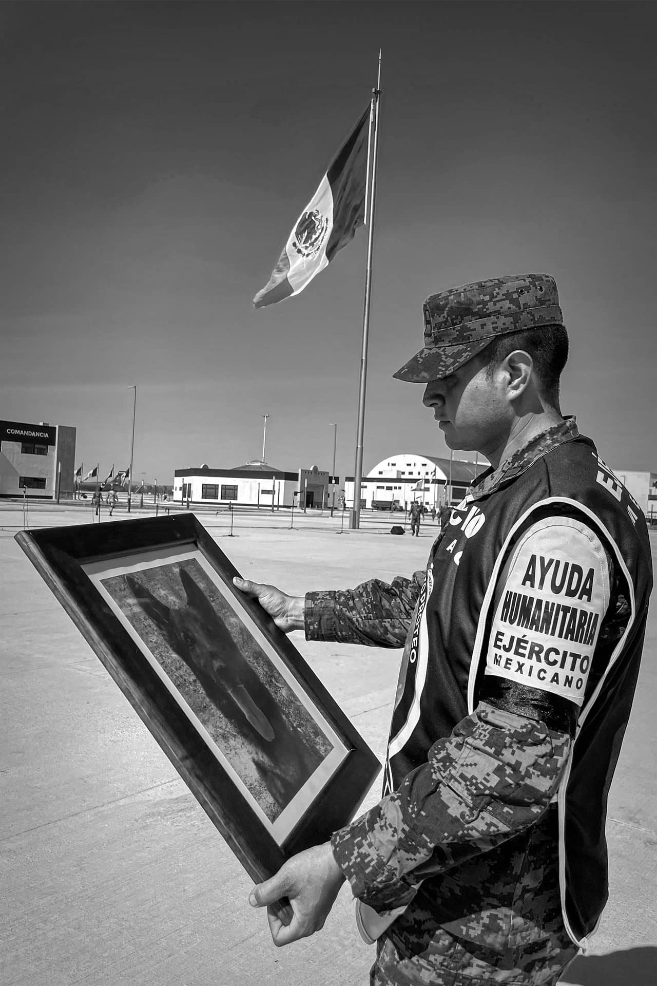 Proteo, el perro rescatista, recibe más homenajes que soldados fallecidos, critica Ciro Gómez Leyva 76