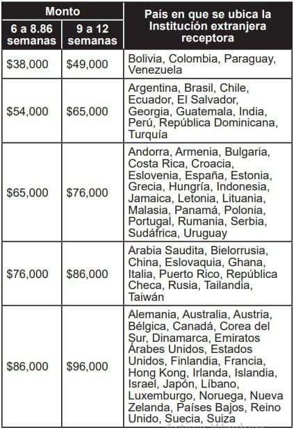 beca movilidad unam 2023 - -DGECIIniciación a la Investigación 2023