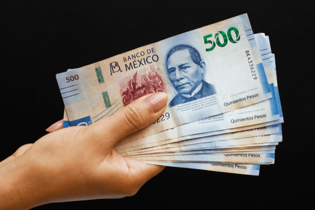 CONSAR recomienda utilizar sitios y aplicaciones certificadas para no ser víctima de fraude. FOTO: freepik.es/autor/freepik