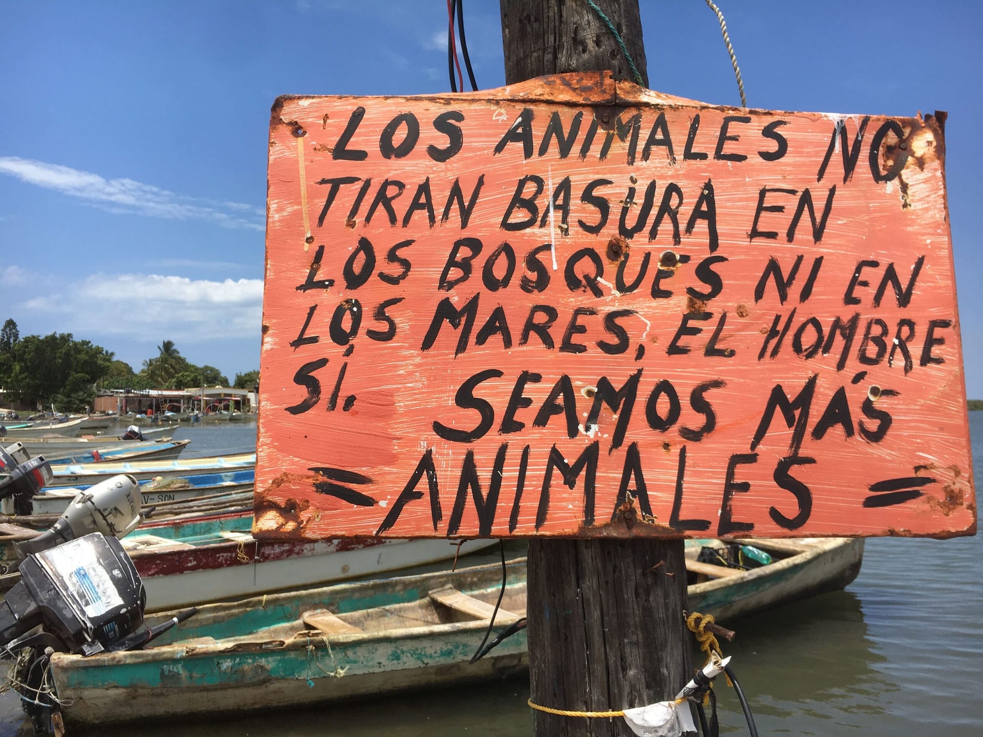 Tesoro natural en Sonora ya es un vertedero de aguas negras 11