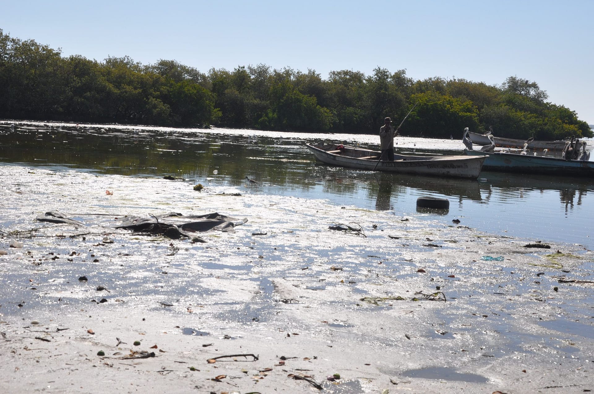 Tesoro natural en Sonora ya es un vertedero de aguas negras 7