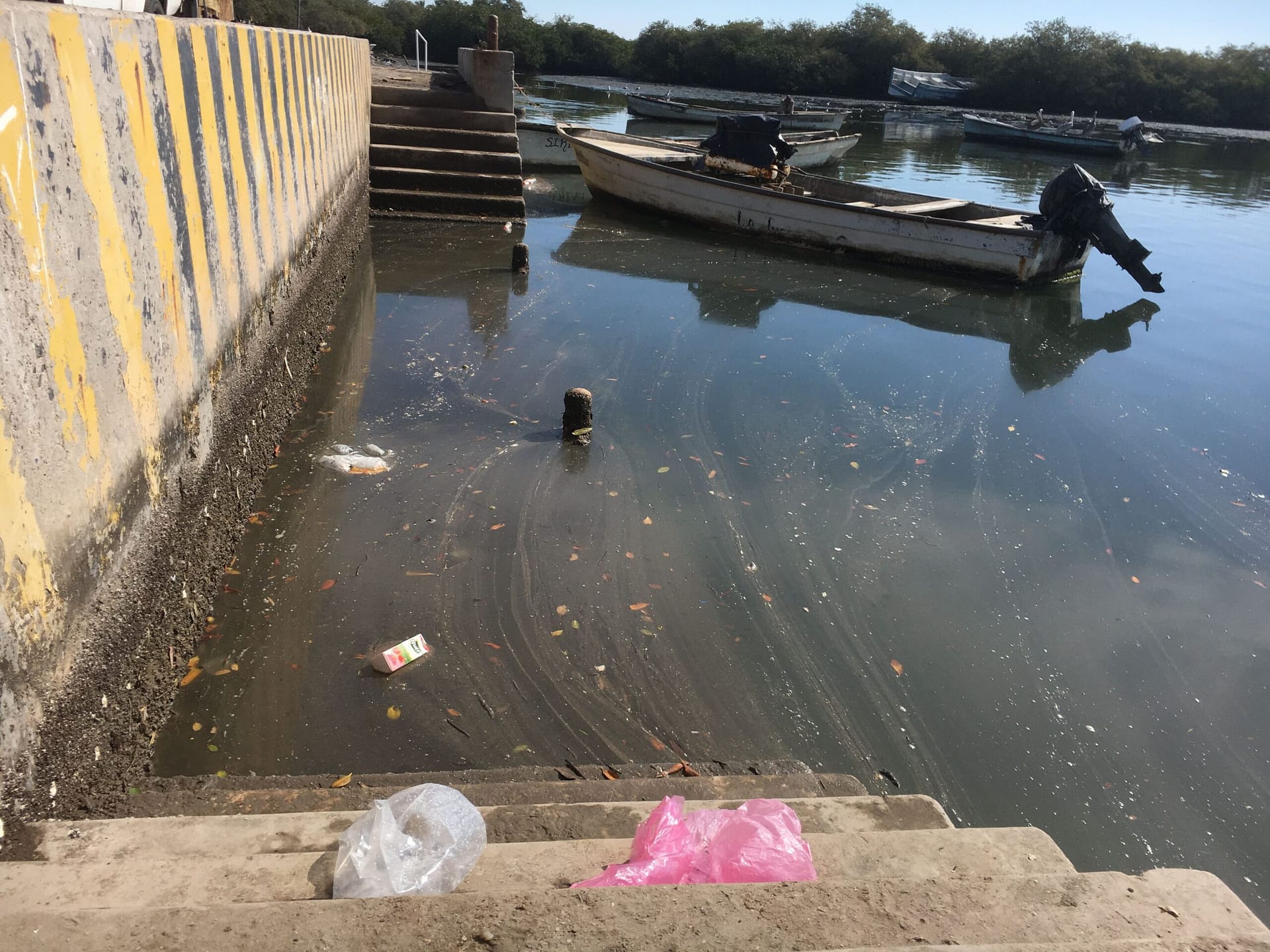 Tesoro natural en Sonora ya es un vertedero de aguas negras 9
