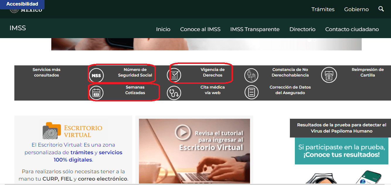 fecha de ingreso activa NSS