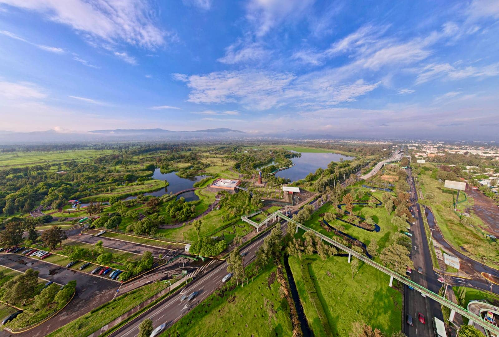arboles que se pueden plantar en cdmx y edomex 2029