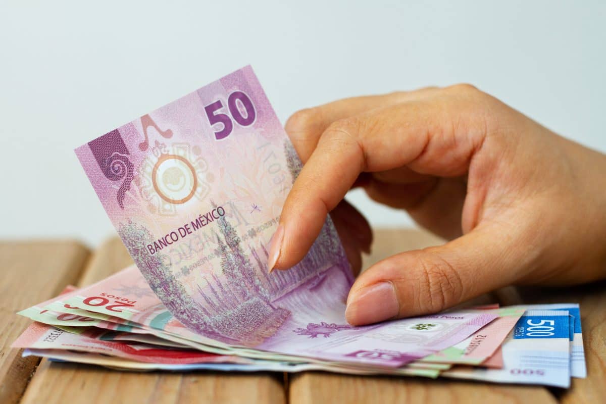 Existen muchas AFORES, muchas son administradas por instituciones bancarias y algunas te pueden dar beneficios. FOTO: freepik.es/autor/freepik