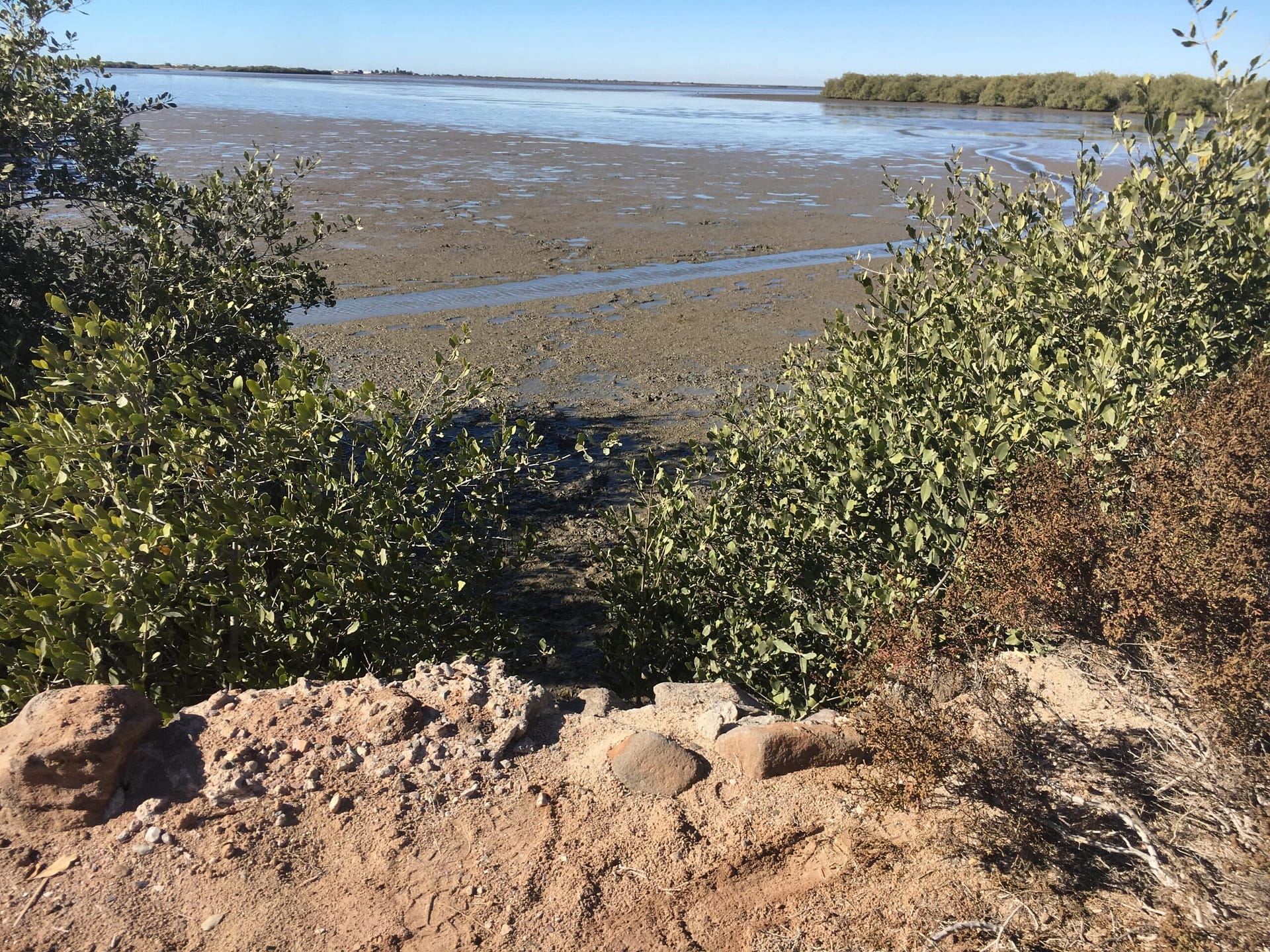 Tesoro natural en Sonora ya es un vertedero de aguas negras. 2