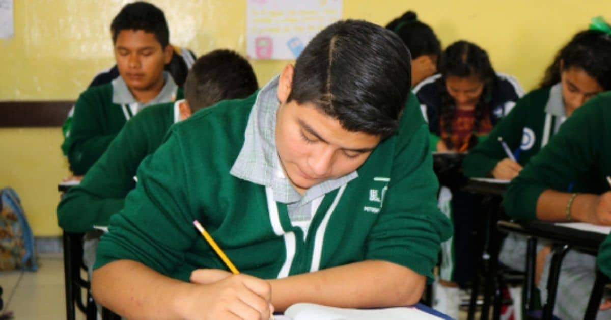 educación 
