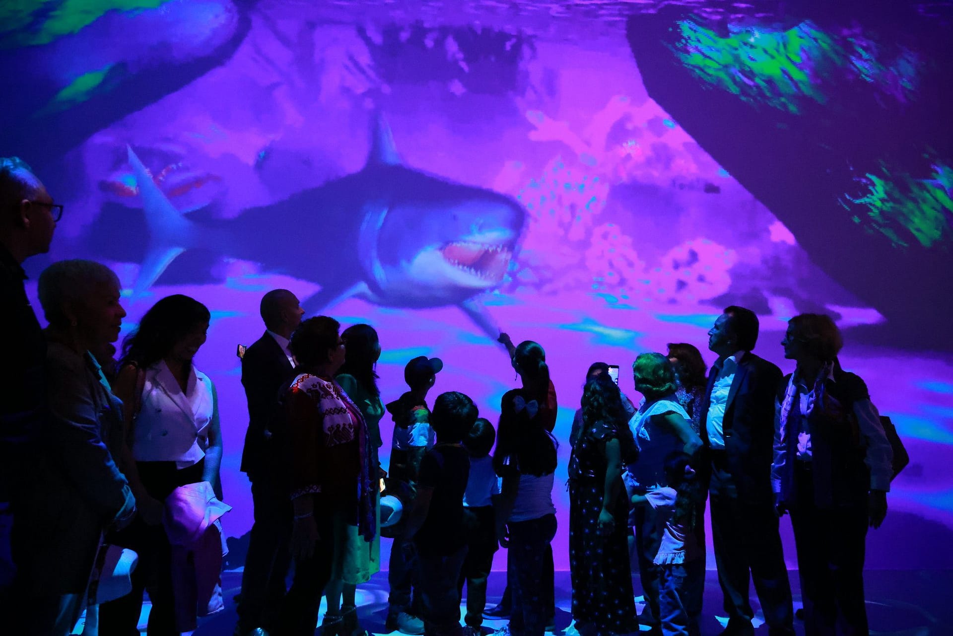 Este espacio cuenta con un acuario virtual gratuito. FOTO: Twitter @CarlaBrugadaM