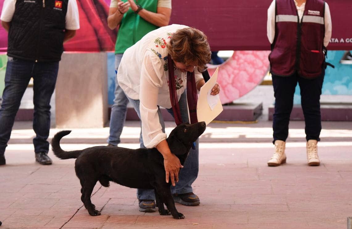las 80 propuestas de campaña de delfina gomez portada 4