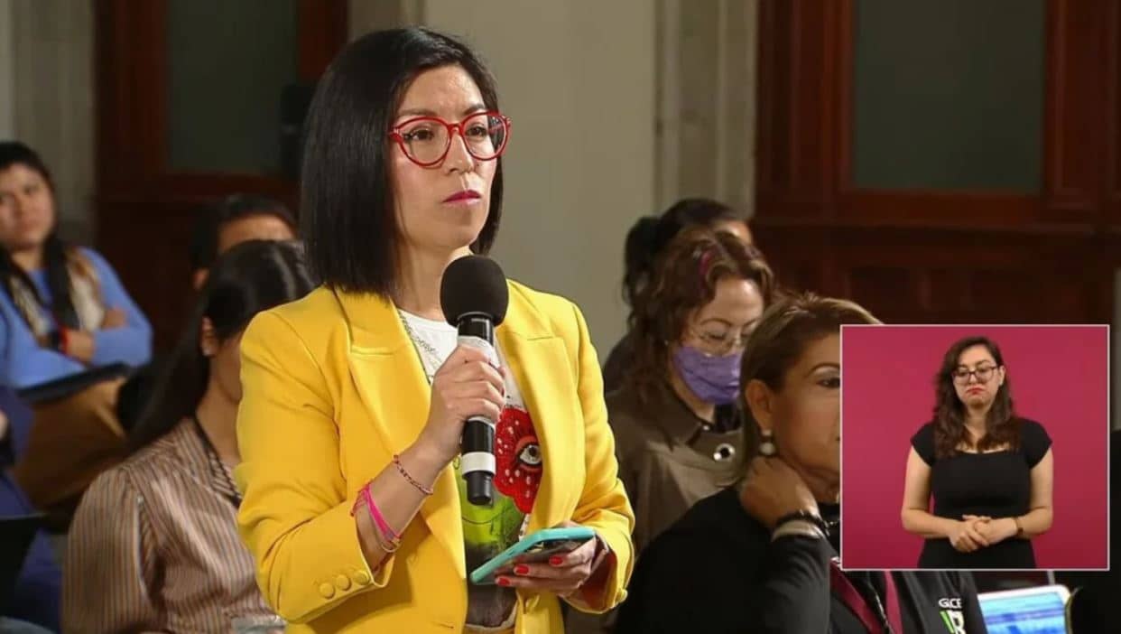 quien es nayeli roldan animal politico inai amlo 7