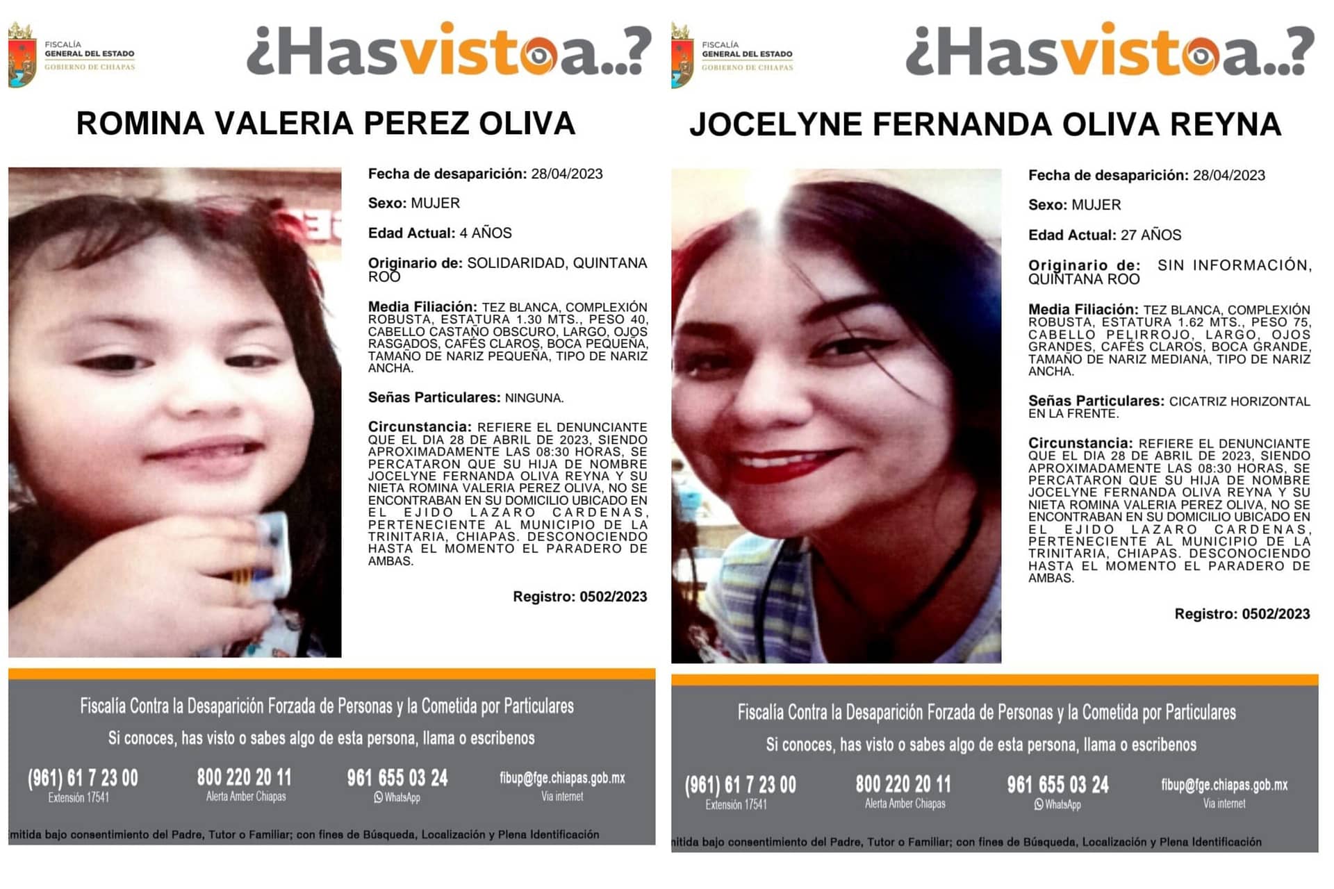 Carteles de búsqueda de Fernanda Oliva Foto: Fiscalía de Chiapas