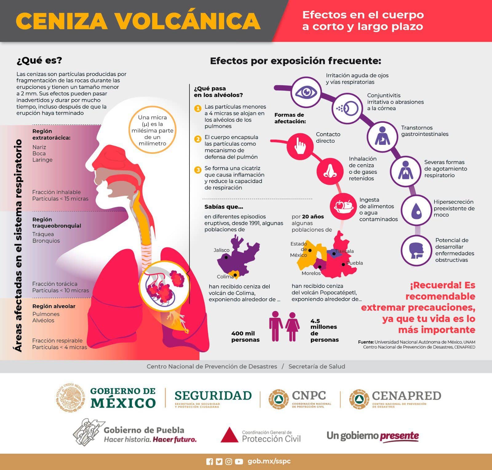 La ceniza del volcán hace daño