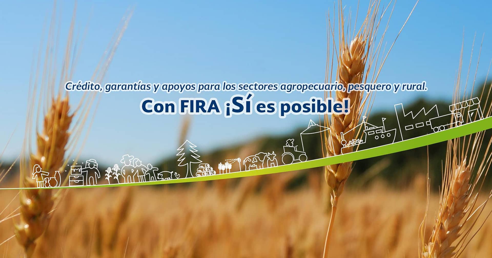 FIRA el reemplazó de FND.