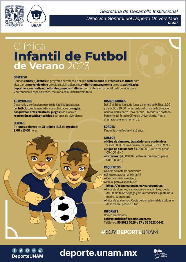 Cursos de verano