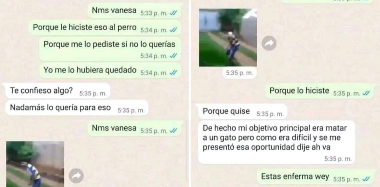 Vanessa Paola. Caso de muerte de perro Huellitas se sale de control portada vanessa n evil 2