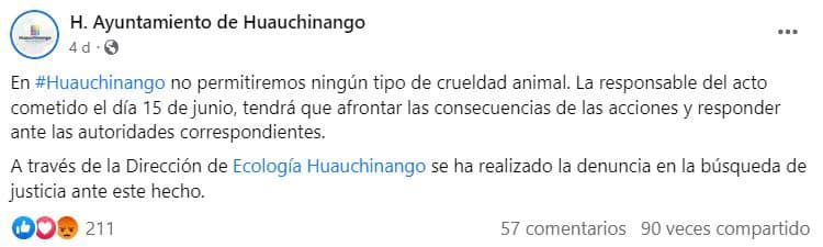 Vanessa Paola. Caso de muerte de perro Huellitas se sale de control portada vanessa n evil 3