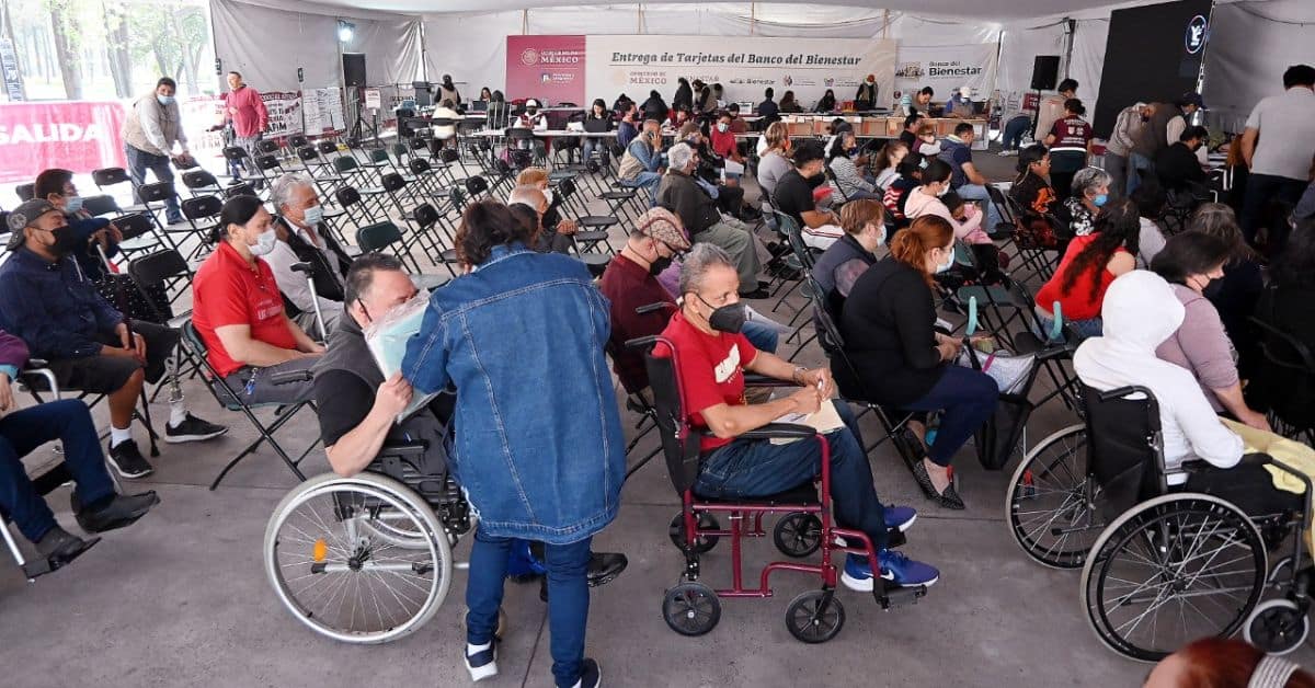 Qué tipos de discapacidad entran en el programa de Bienestar