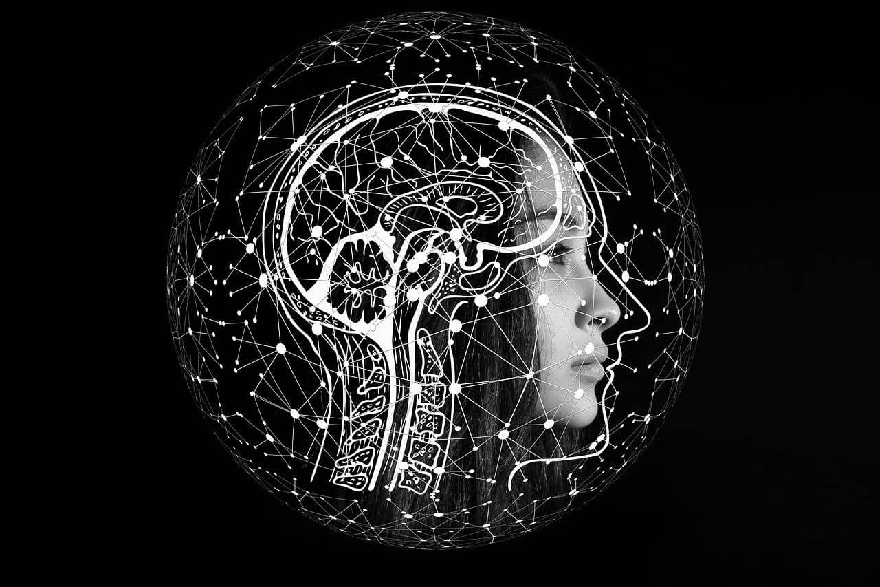 Los autores ofrecen una lectura informada y matizada de cómo la tecnología del aprendizaje automático y los grandes modelos de lenguaje (IA generativa) está a punto de remodelar el mundo del trabajo. Foto: Pixabay.