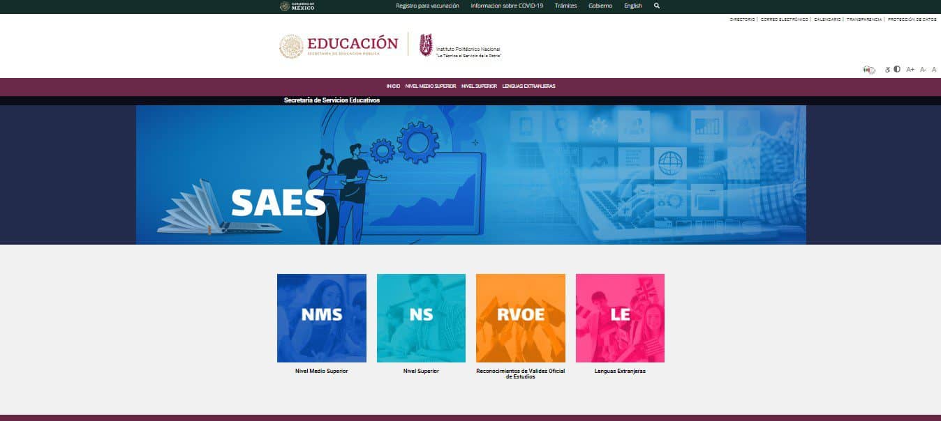 IPN calificaciones SAES