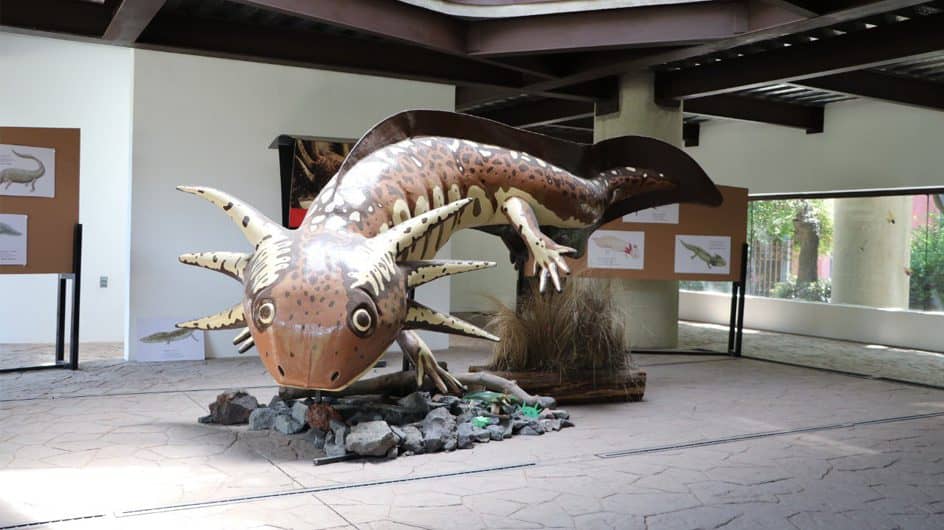 Nuevos museos en la CDMX