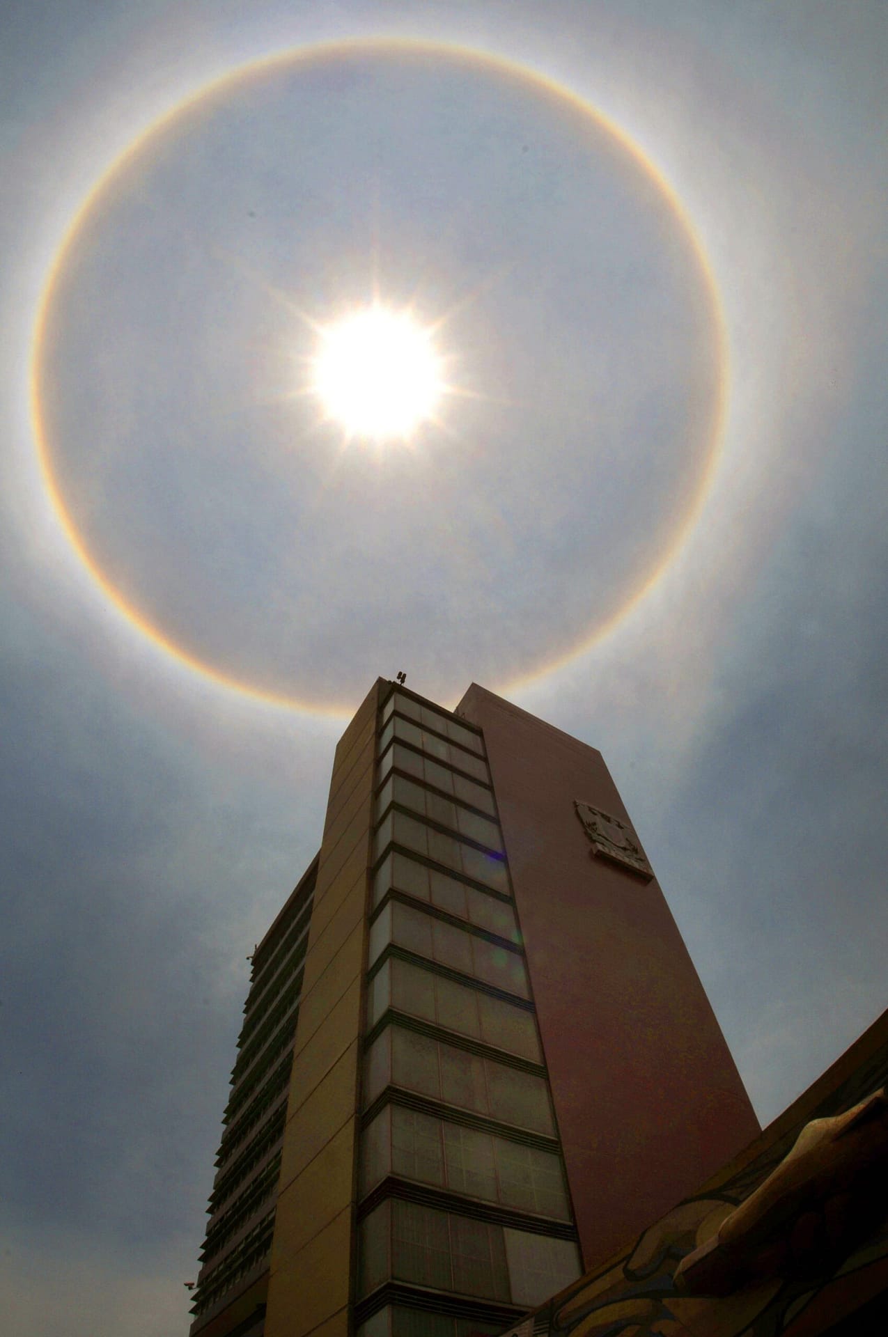 Halo solar