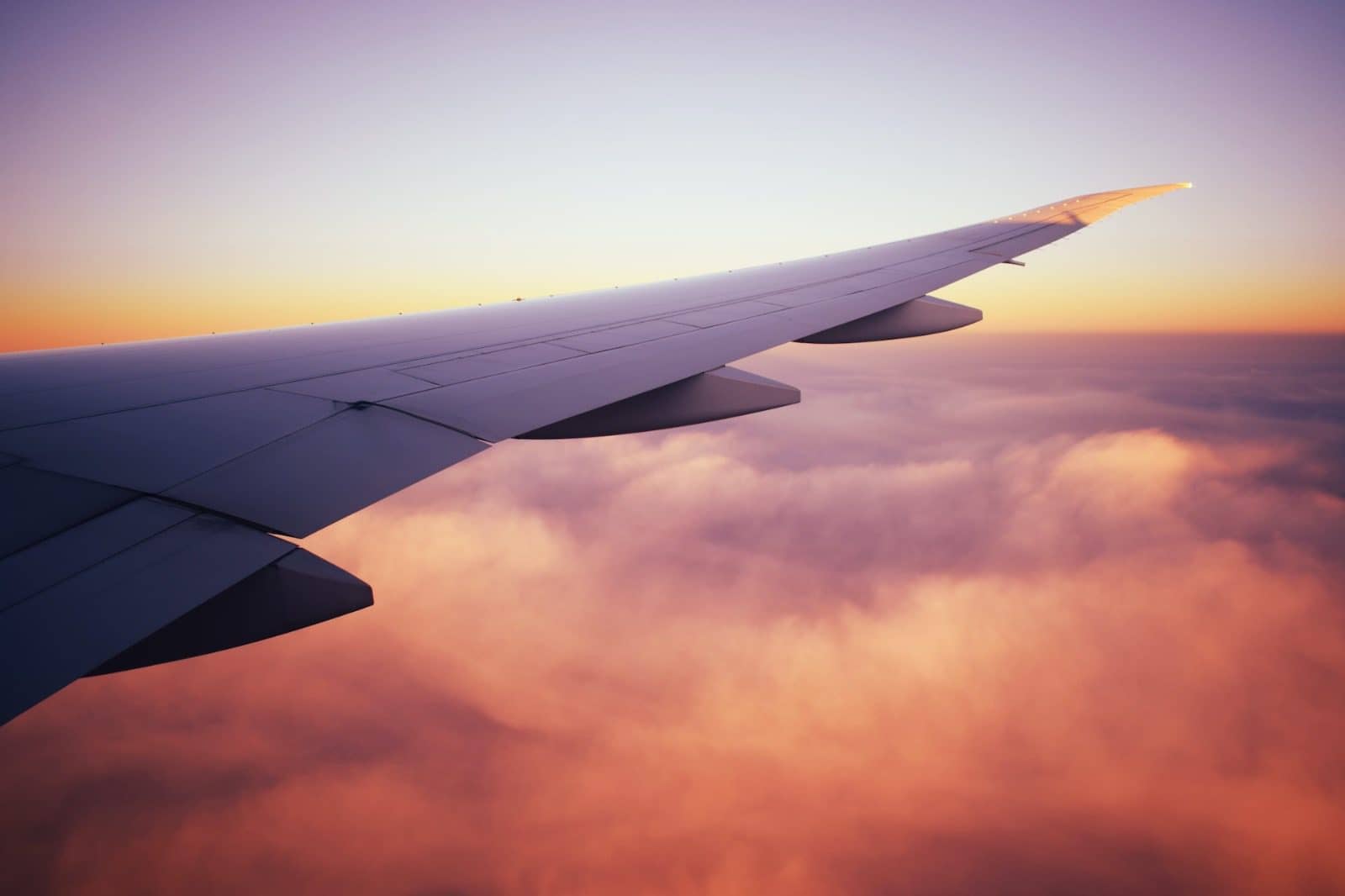 Nueva mexicana de aviación: 1 bebida y equipaje gratis