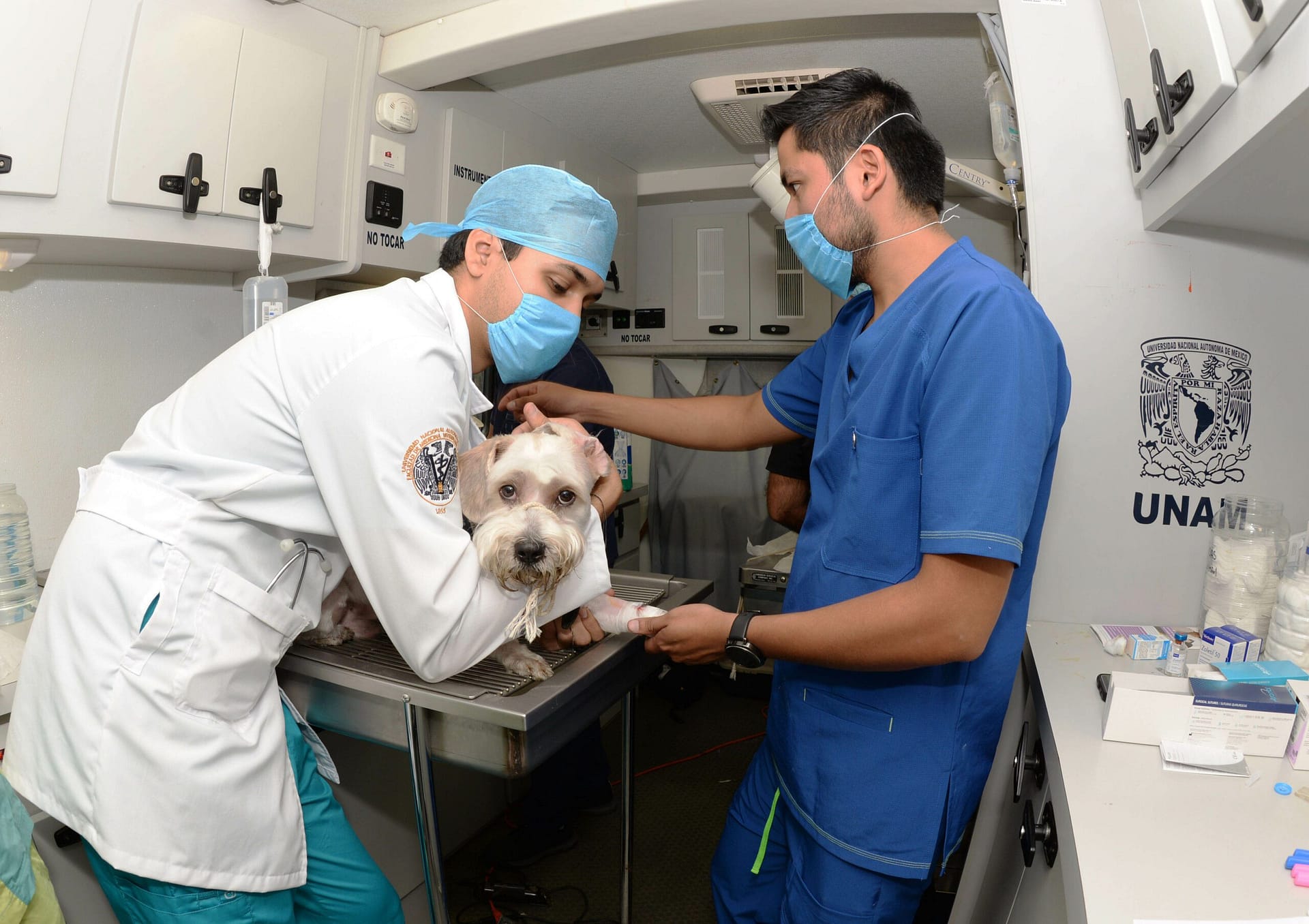 hospitales gratis para mascotas