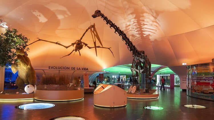 Los mejores 10 museos de Chapultepec