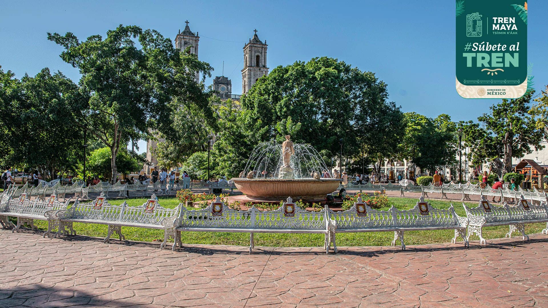 Viaja en el tren maya: conoce rutas, costos y más