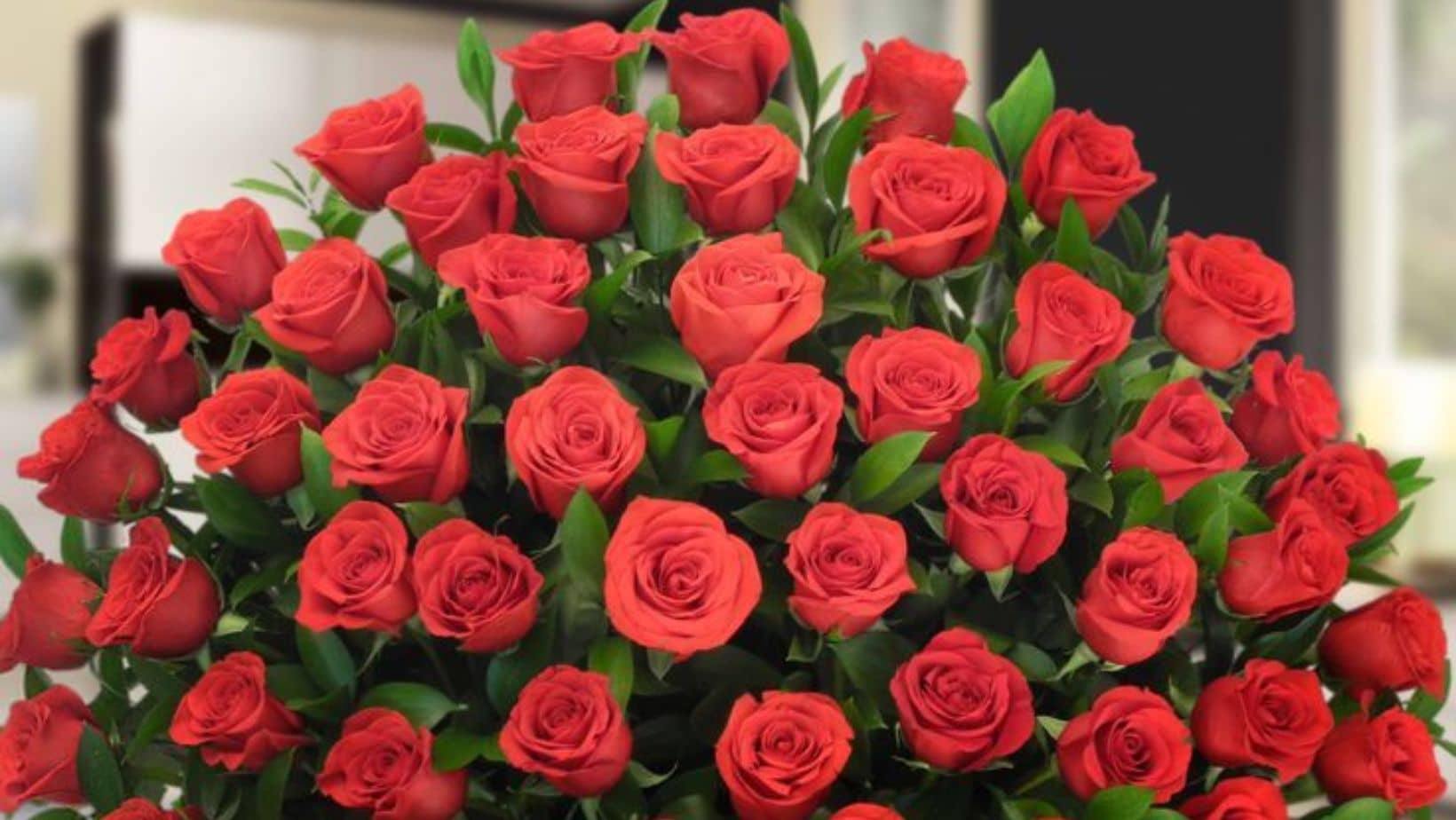Por qué se regalan flores moradas