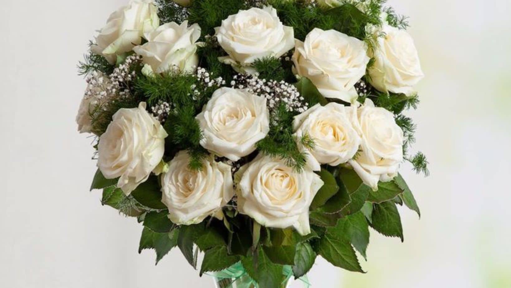 Por qué se regalan flores moradas