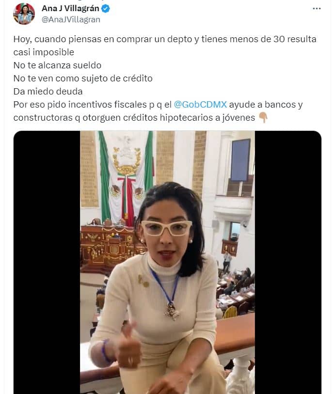quien es la diputada ana villagran 3