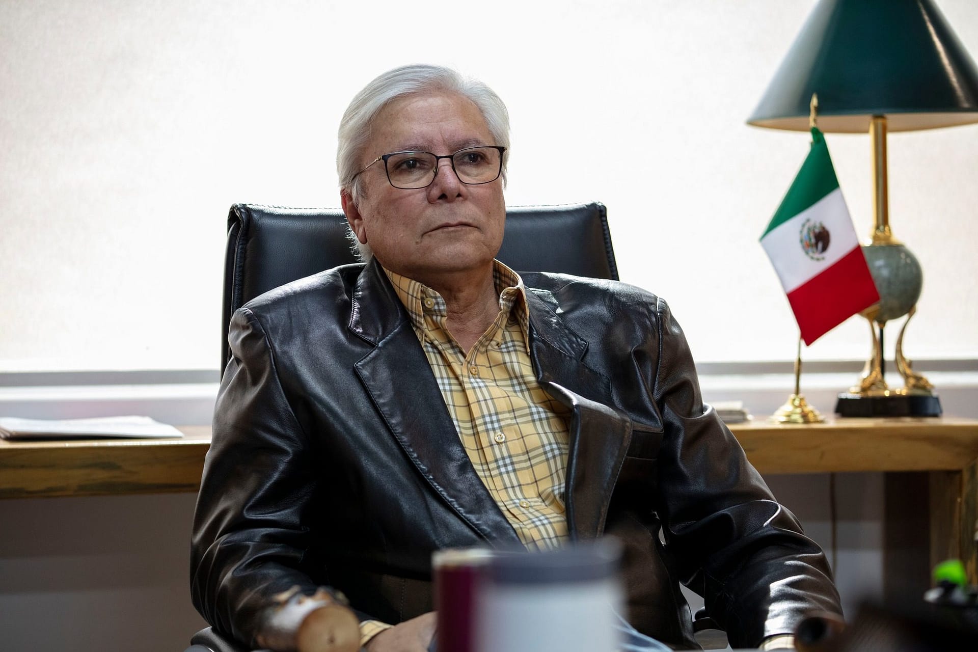 delegados del bienestar candidatos 6