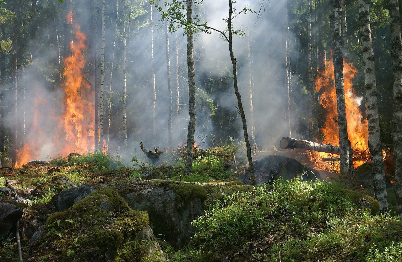 La batalla contra el cambio climático también será costosa. Se espera que el costo de la mitigación y la adaptación sea de billones de dólares por año durante las próximas décadas, y es ingenuo pensar que todas estas inversiones impulsarán el crecimiento. Foto: Pixabay.