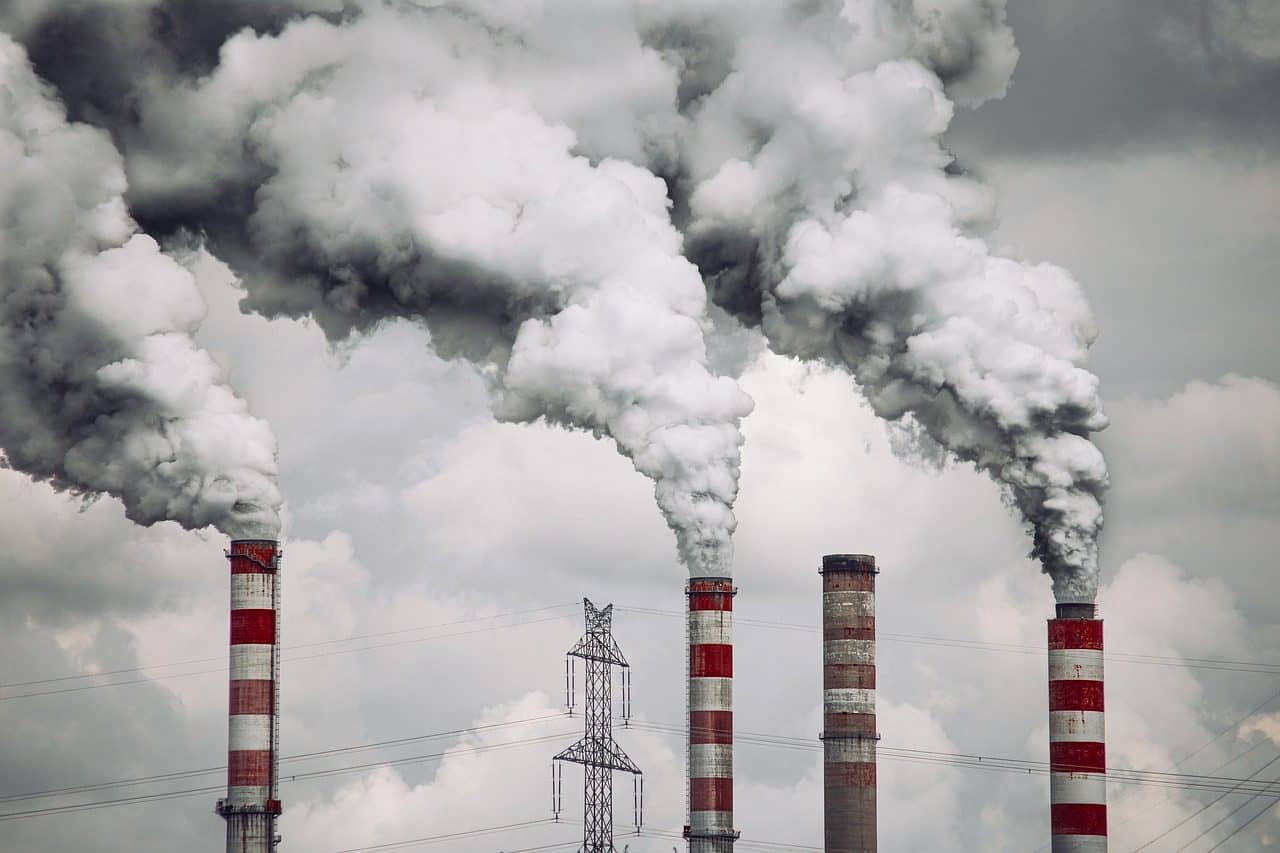 La asistencia técnica de las ONG independientes puede preparar el terreno para lograr las políticas exitosas necesarias para superar la crisis climática. Foto: Pixabay.