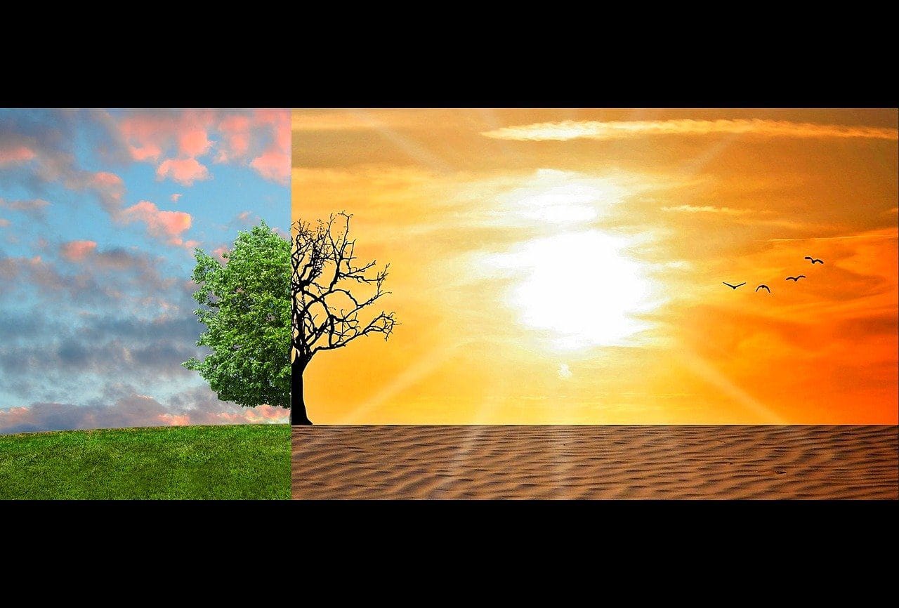 El año también será recordado por ser el más caluroso jamás registrado. Foto: Pixabay.