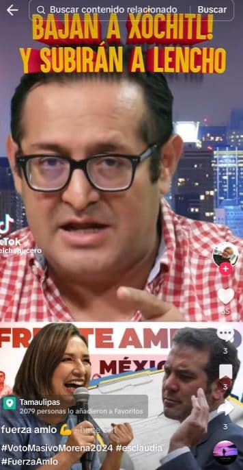 Fake Lorenzo Córdova no puede ser candidato presidencial, como afirman youtubers proAMLO 1