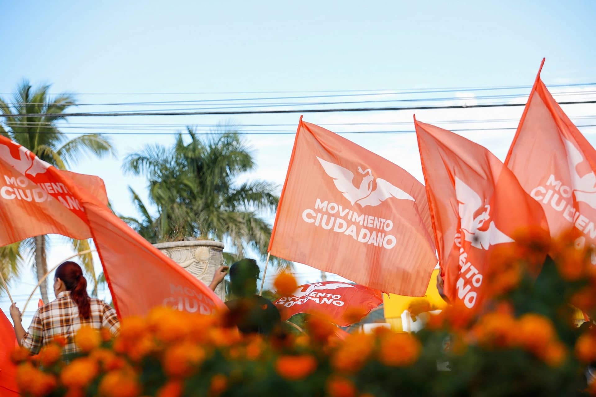 Registro en riesgo Movimiento Ciudadano sufre para conseguir 3 de los votos 1