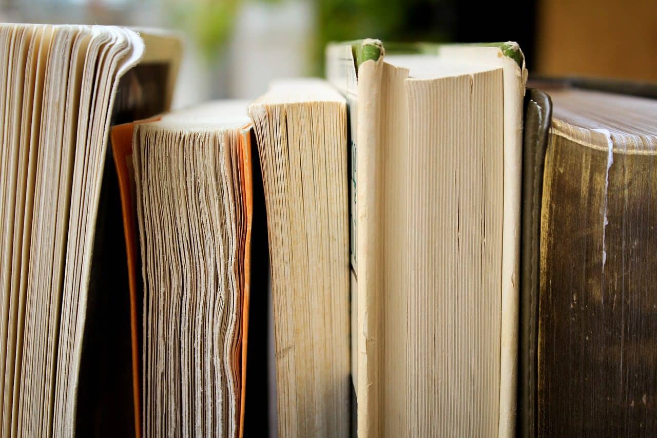 La novela Pequeñas cosas sin importancia (2022 en español, 2014 en inglés), de la escritora Miriam Toews (Canadá, 1964) resulta un texto novedoso por el enfoque del tema y por su calidad literaria. Foto: Pixabay.