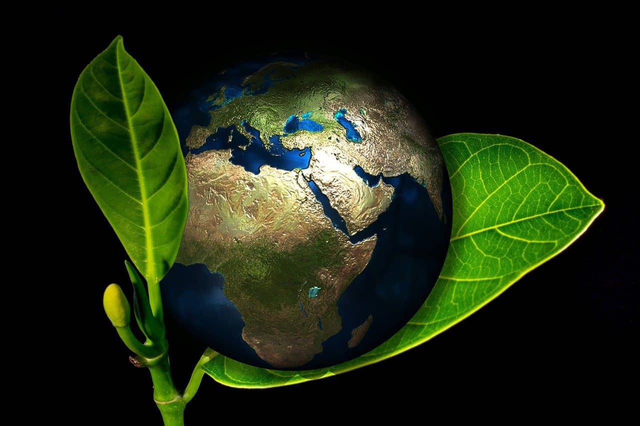 Conciliar seguridad y economía en el nuevo orden mundial. Foto: Pixabay.