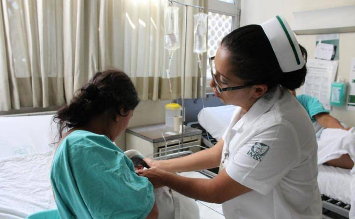 enferma del imss 2024 requisitos